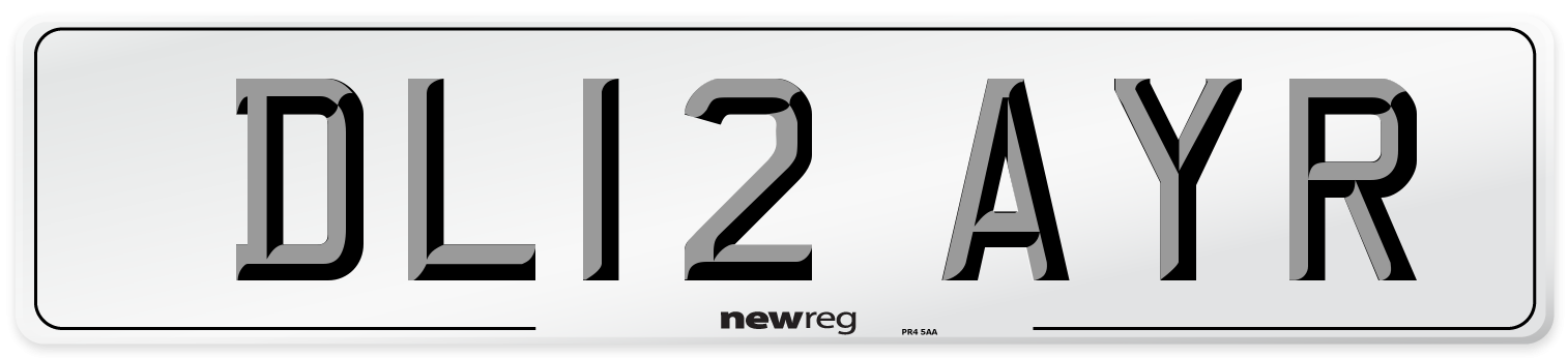 DL12 AYR Number Plate from New Reg